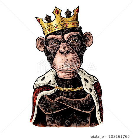 Monkey king with paws crossed dressed in the mantle and crow. Vintage color and black engraving 108161766