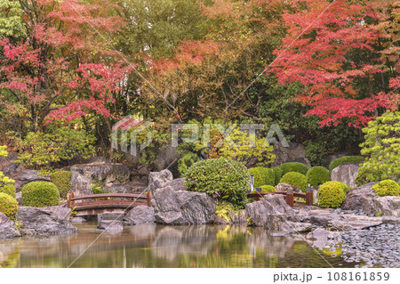[九州・福岡] 福岡県立大濠公園日本庭園で木橋に渡られる秋の紅葉を映す池の風景。 108161859