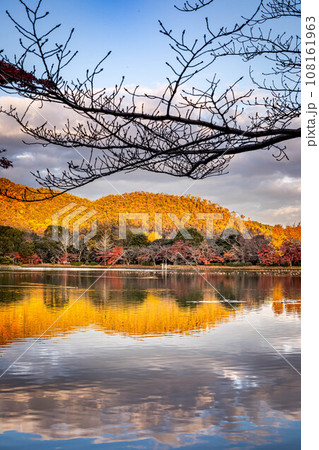 大覚寺門跡の秋、西日をうけて金色に輝く紅葉真っ盛りの嵯峨野の山々が映った大沢池の水鏡 108161963