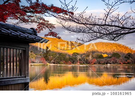 大覚寺門跡の秋、西日をうけて金色に輝く紅葉真っ盛りの嵯峨野の山々が映った大沢池の水鏡 108161965
