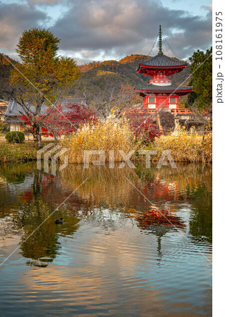 大覚寺門跡の秋、心経宝塔の映った大沢池・放生池の水鏡、美しい秋色の波紋 大覚寺門跡の秋、心経宝塔の映った大沢池・放生池の水鏡、美しい秋色の波紋 108161975