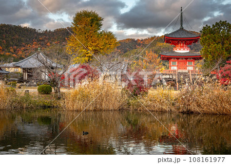 大覚寺門跡の秋、心経宝塔の映った大沢池・放生池の水鏡 大覚寺門跡の秋、心経宝塔の映った大沢池・放生池の水鏡 108161977