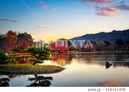 大覚寺門跡の秋、紅葉が見頃を迎えた大沢池の夕景、「菊ケ島」の松と「庭湖石」 108161996