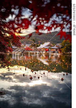 大覚寺門跡の秋、夕暮れの大沢池と五大堂、秋色の水鏡に枯れ蓮のシルエット、真っ赤なカエデのコントラスト 108162026