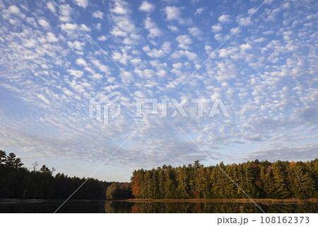 秋の空と紅葉 108162373