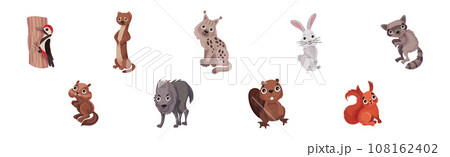Forest Animals with Woodpecker, Otter, Lynx, Bunny, Raccoon and Wolf Vector Set 108162402