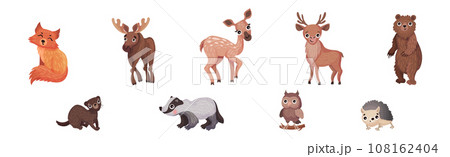 Forest Animals with Fox, Deer, Otter, Elk and Bear Vector Set 108162404
