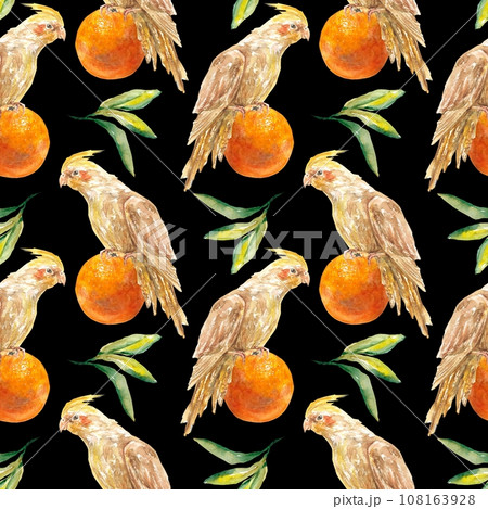 Seamless pattern of fruits of oranges and Corella parrots. Watercolor illustration isolated on background. Juice labels, packaging, covers, textiles. 108163928