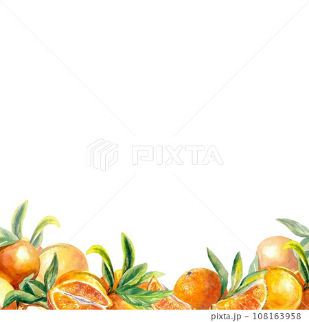 A square frame of bright orange fruit at the bottom. Watercolor illustration isolated on white background. Juice labels, food packaging, covers, cards A square frame of bright orange fruit at the bottom. Watercolor illustration isolated on white background. Juice labels, food packaging, covers, cards 108163958