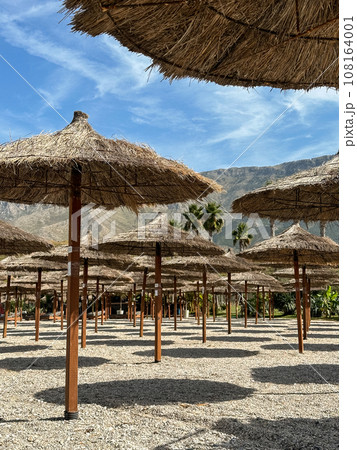 straw beach umbrellas in rows on the beach 108164001