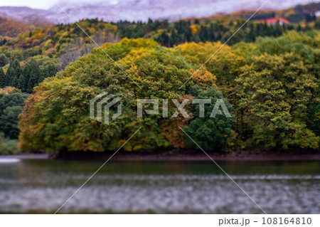 雲に覆われる紅葉の山肌 108164810