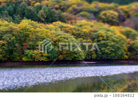 雲に覆われる紅葉の山肌 108164812