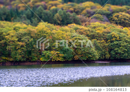 雲に覆われる紅葉の山肌 108164813