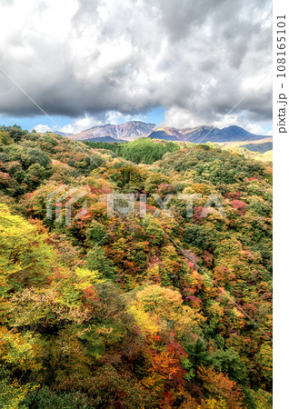 栃木県　紅葉に染まる霧降の滝 108165101