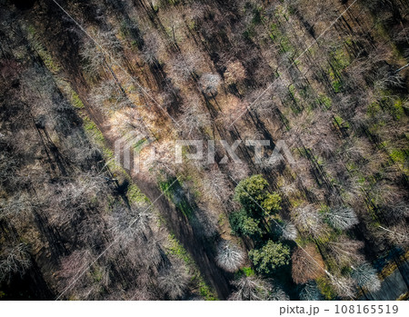 「埼玉県」ドローンで見沼田んぼの畑を俯瞰で撮影 108165519