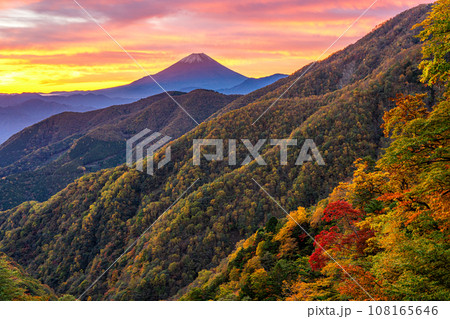 櫛形山から見る朝焼けに染まる錦秋の山並みと富士山 櫛形山から見る朝焼けに染まる錦秋の山並みと富士山 108165646