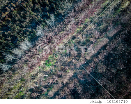 「埼玉県」ドローンで見沼田んぼの畑を俯瞰で撮影 108165710