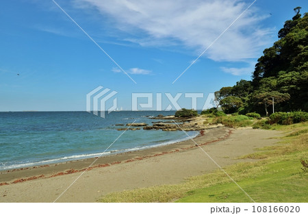 観音崎海岸 観音崎海岸 108166020