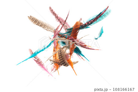 Many color Feather fly fall beautiful spiral pattern in air over black background isolated. Puffy Fluffy soft feathers like dream floating dove in sky. Colorful feathers are so light and delicate Many color Feather fly fall beautiful spiral pattern in air over black background isolated. Puffy Fluffy soft feathers like dream floating dove in sky. Colorful feathers are so light and delicate 108166167