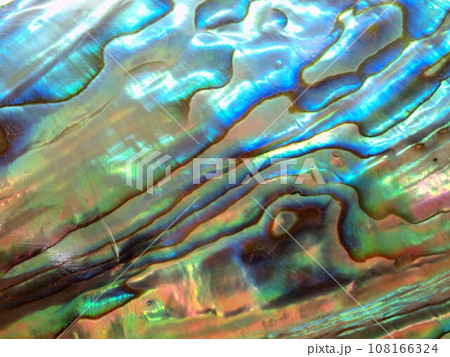 アワビの貝殻の真珠層のアップ 108166324