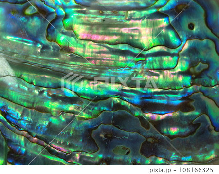 アワビの貝殻の真珠層のアップ 108166325