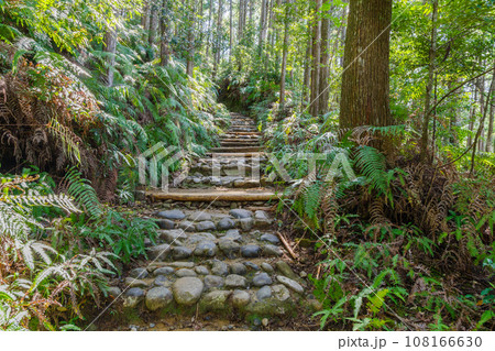熊野古道の石畳　三軒茶屋跡付近（和歌山県田辺市本宮町） 108166630