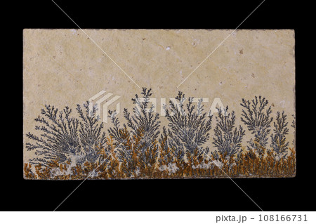 デンドリティック・ライムストーン 風景を宿す石 108166731