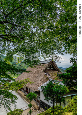 萬徳寺 福井県 小浜市 小浜八ヶ寺巡り 萬徳寺 福井県 小浜市 小浜八ヶ寺巡り 108166904