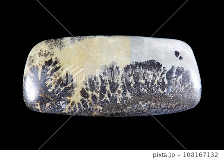 デンドリティック・ジャスパー 風景を宿す石 108167132