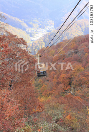 苗場紅葉田代ロープウェイ 苗場紅葉田代ロープウェイ 108168762