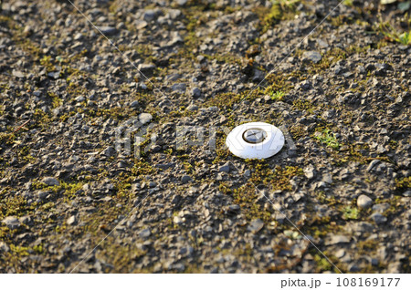 境界線の金属鋲 108169177