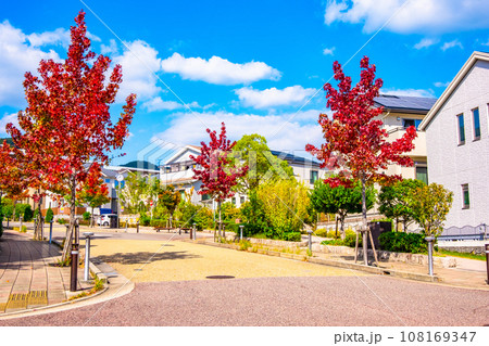 電柱のない街と紅葉した街路樹 電柱のない街と紅葉した街路樹 108169347