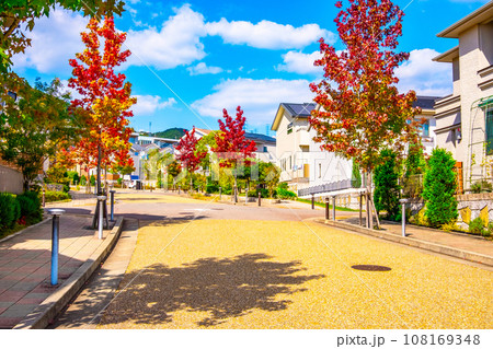 電柱のない街と紅葉した街路樹 電柱のない街と紅葉した街路樹 108169348