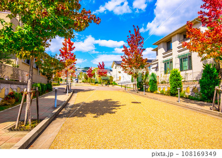 電柱のない街と紅葉した街路樹 108169349