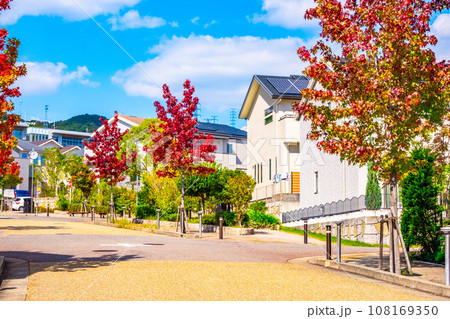 電柱のない街と紅葉した街路樹 108169350