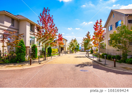 電柱のない街と紅葉した街路樹 108169424