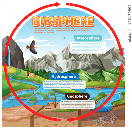 Biosphere Ecology Infographic for Learning 108170902