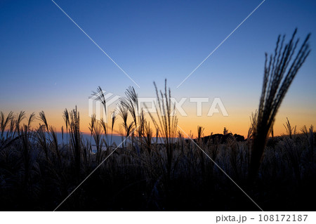 マジックアワーの空とススキの草原 108172187