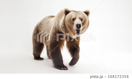 クマ 白背景 クマ 白背景 108172358