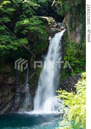 河津七滝・大滝 河津七滝・大滝 108172937