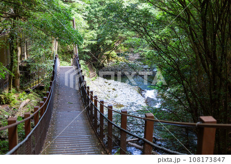 河津七滝・河津踊子滝見橋 108173847