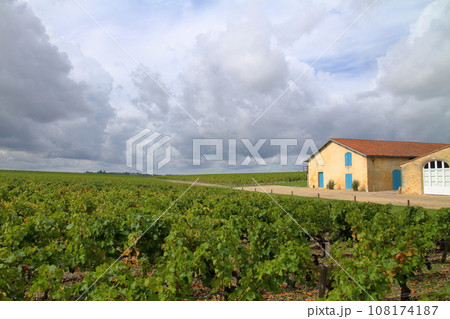 フランス ボルドーの北側にあるワインの有名産地メドック地区のブドウ畑 108174187