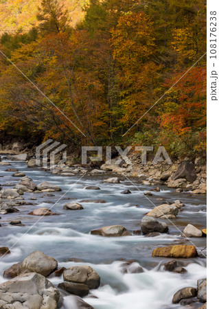 岩手県葛根田渓谷の紅葉 岩手県葛根田渓谷の紅葉 108176238