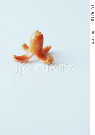 お弁当の定番 魚肉ソーセージのタコさんウィンナー お弁当の定番 魚肉ソーセージのタコさんウィンナー 108176351