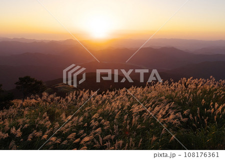 秋の部子山 能楽の里牧場跡からのススキと夕方の眺め 福井県今立郡池田町 秋の部子山 能楽の里牧場跡からのススキと夕方の眺め 福井県今立郡池田町 108176361