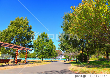 都立 六仙公園 かたらい広場(東京都東久留米市)【2023.10】 都立 六仙公園 かたらい広場(東京都東久留米市)【2023.10】 108178237