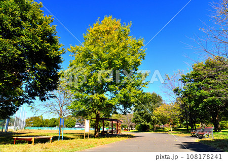 都立 六仙公園 かたらい広場(東京都東久留米市)【2023.10】 108178241