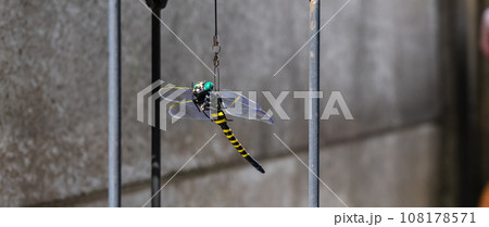 オニヤンマ　蚊、アブ避けグッズ 108178571