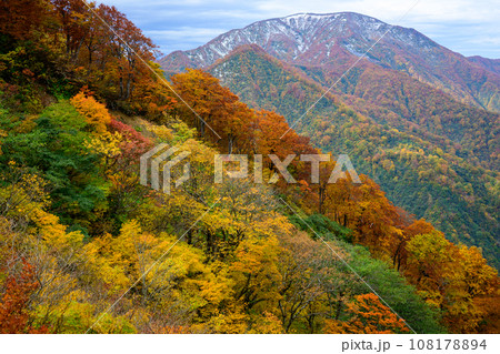 栂海新道の紅葉 108178894