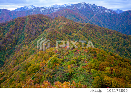 栂海新道の紅葉 108178896